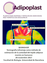 Workshop Adipoplast TAM